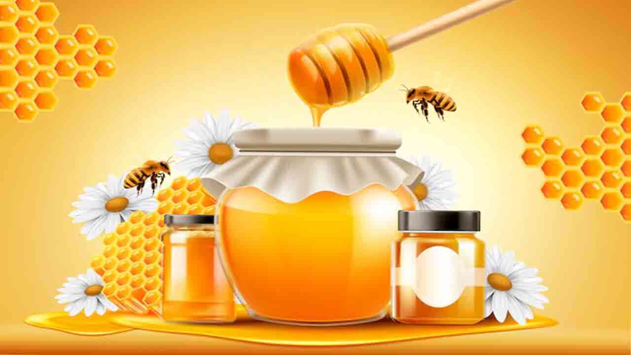 ఆయుర్వేదమే సలాం కొట్టింది.. కొవ్వు కొలెస్ట్రాల్ లేని అద్భుతం తేనె