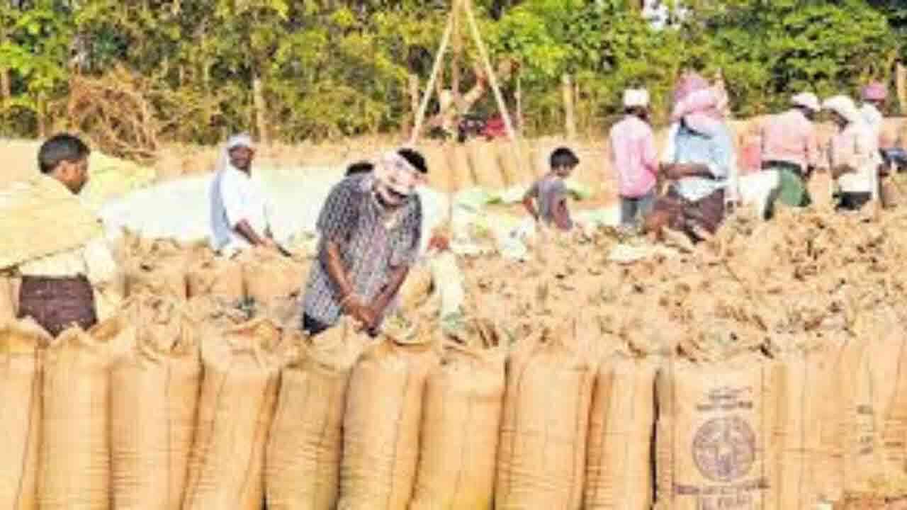 రైతులకు శుభవార్త.. ధాన్యం కొనుగోలుకు సరికొత్త ప్రక్రియను ప్రారంభించిన ఏపీ ప్రభుత్వం 