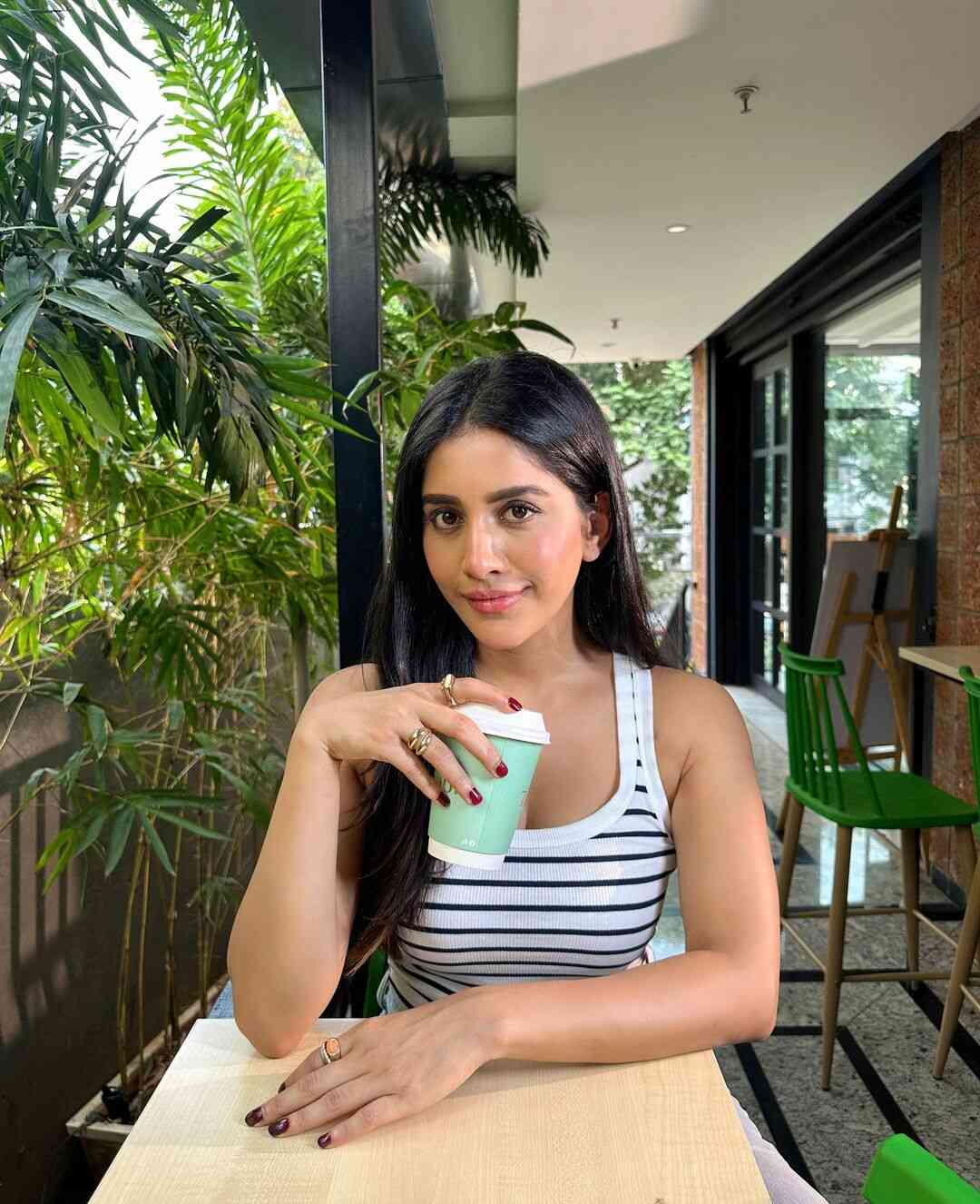 Nabha Natesh 