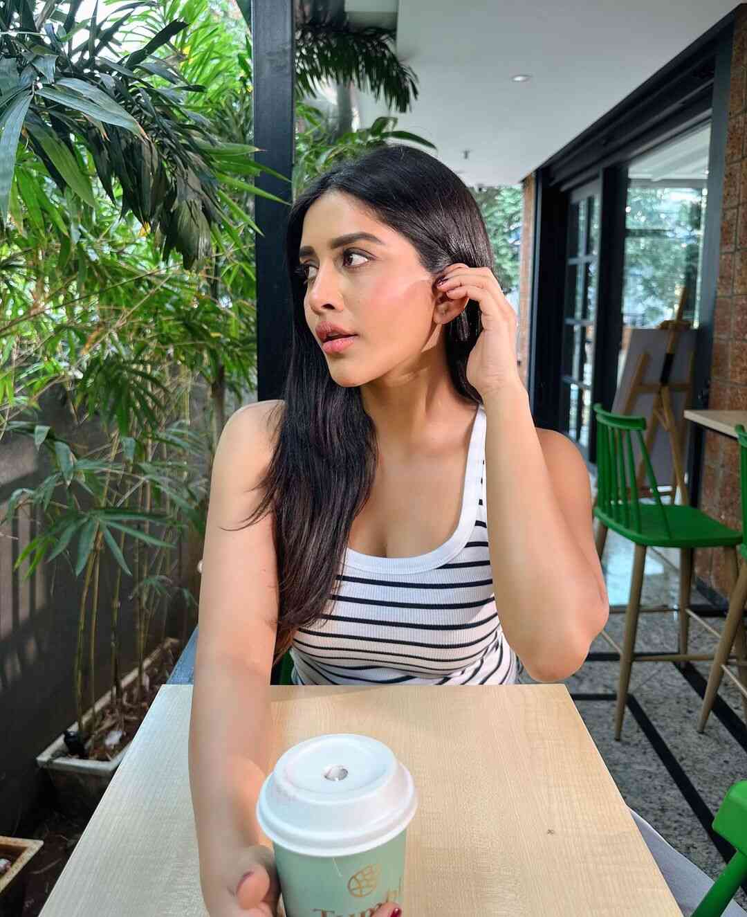 Nabha Natesh 
