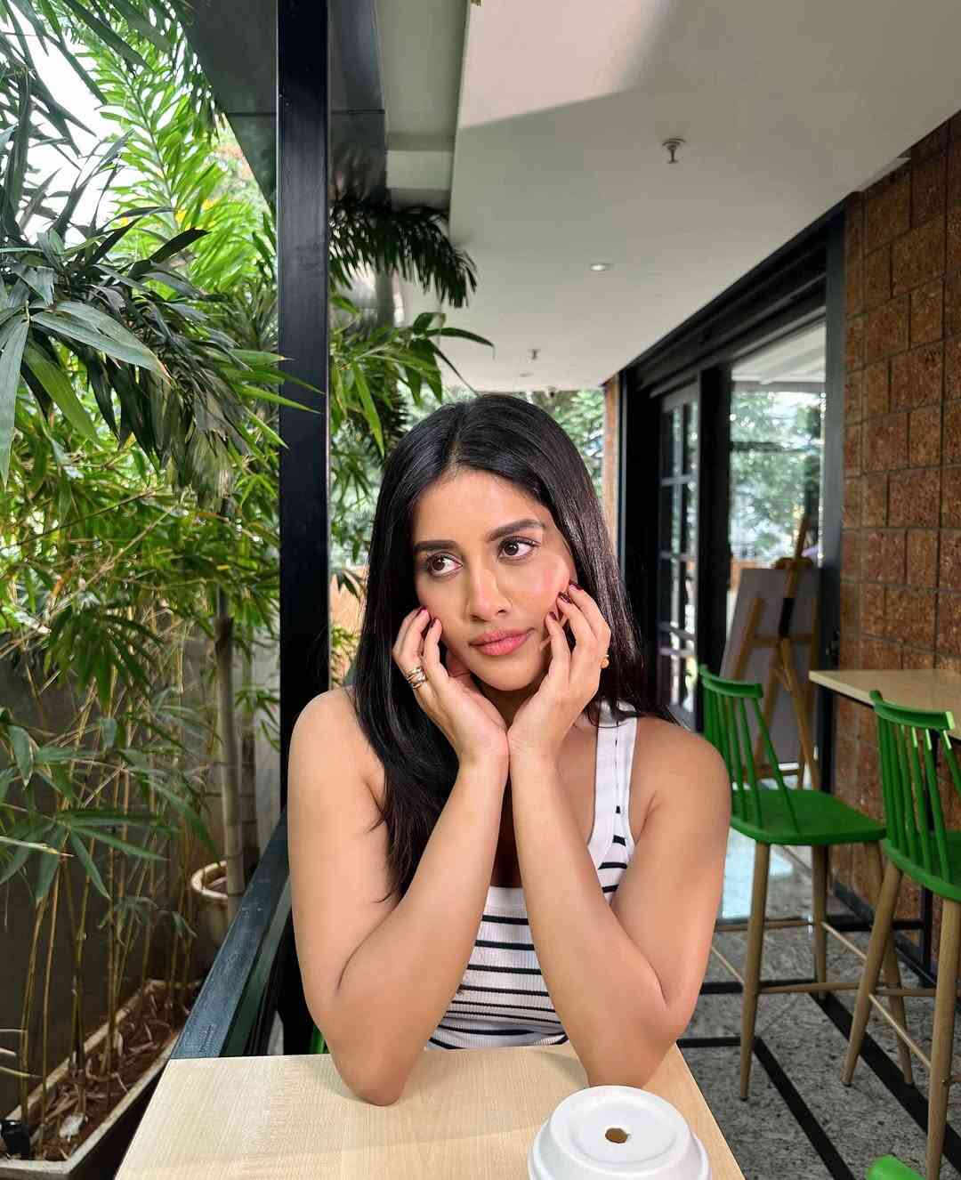 Nabha Natesh 