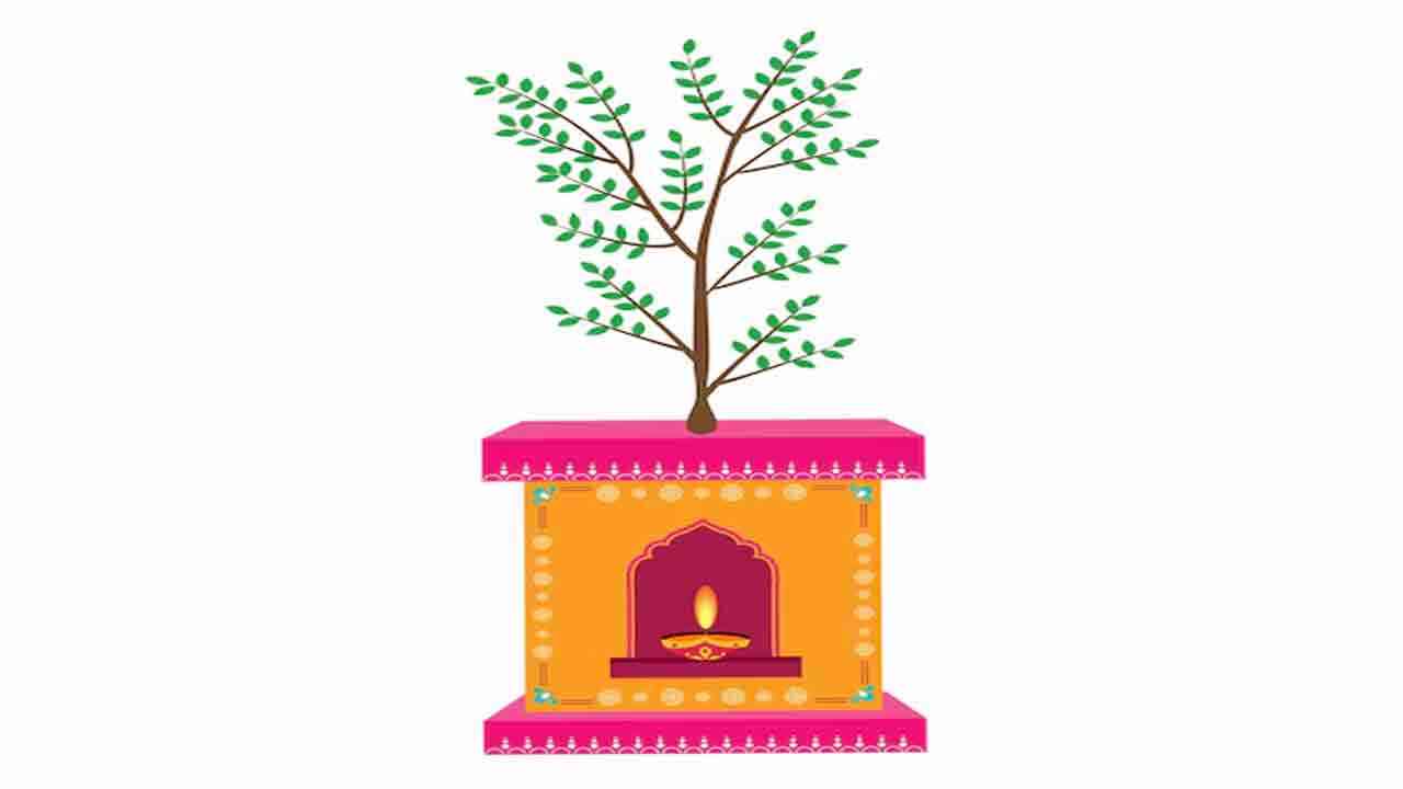 తులసికోట ఈ దిక్కున పెడితే సిరిసంపదలు మీ సొంతం