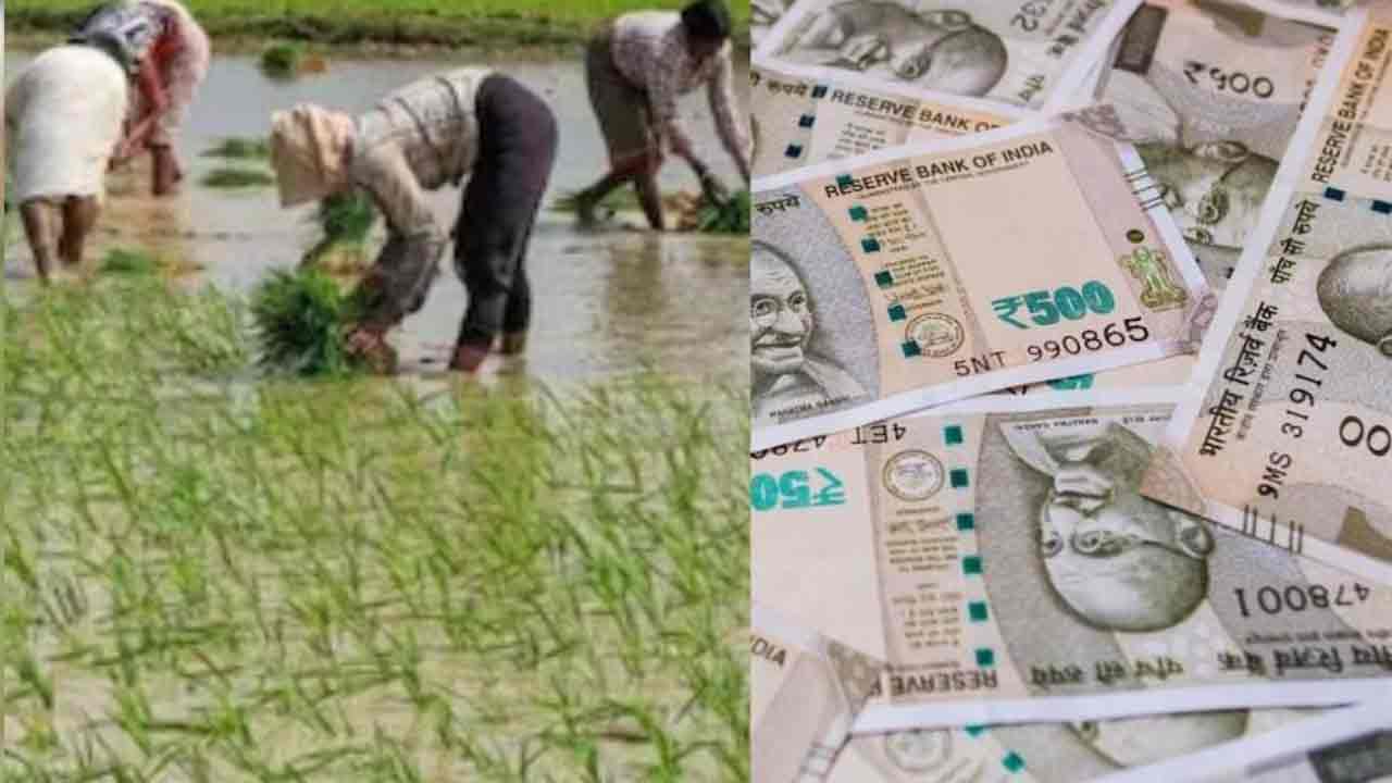 నేడు రైతుల ఖాతాల్లోకి పెట్టుబడి రాయితీ జమ 