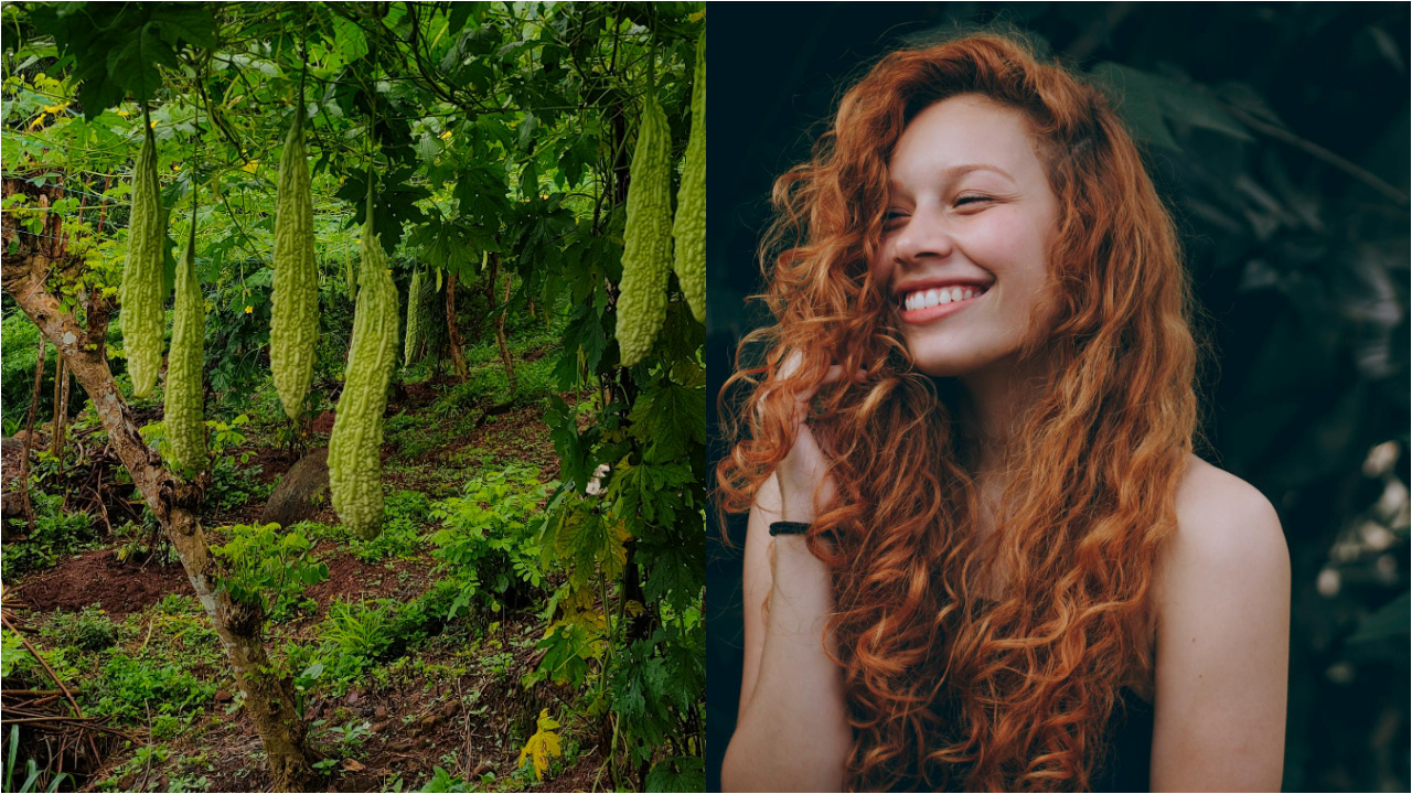 కాకరకాయతో జుట్టు సమస్యలకు చెక్..!