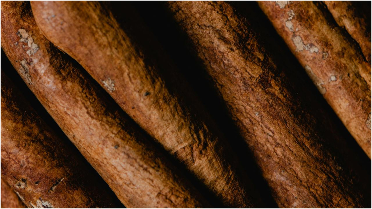 అర్జున బెరడు గురించి విన్నారా? ఈ బెరడుతో ఈ వ్యాధులకు చెక్ 