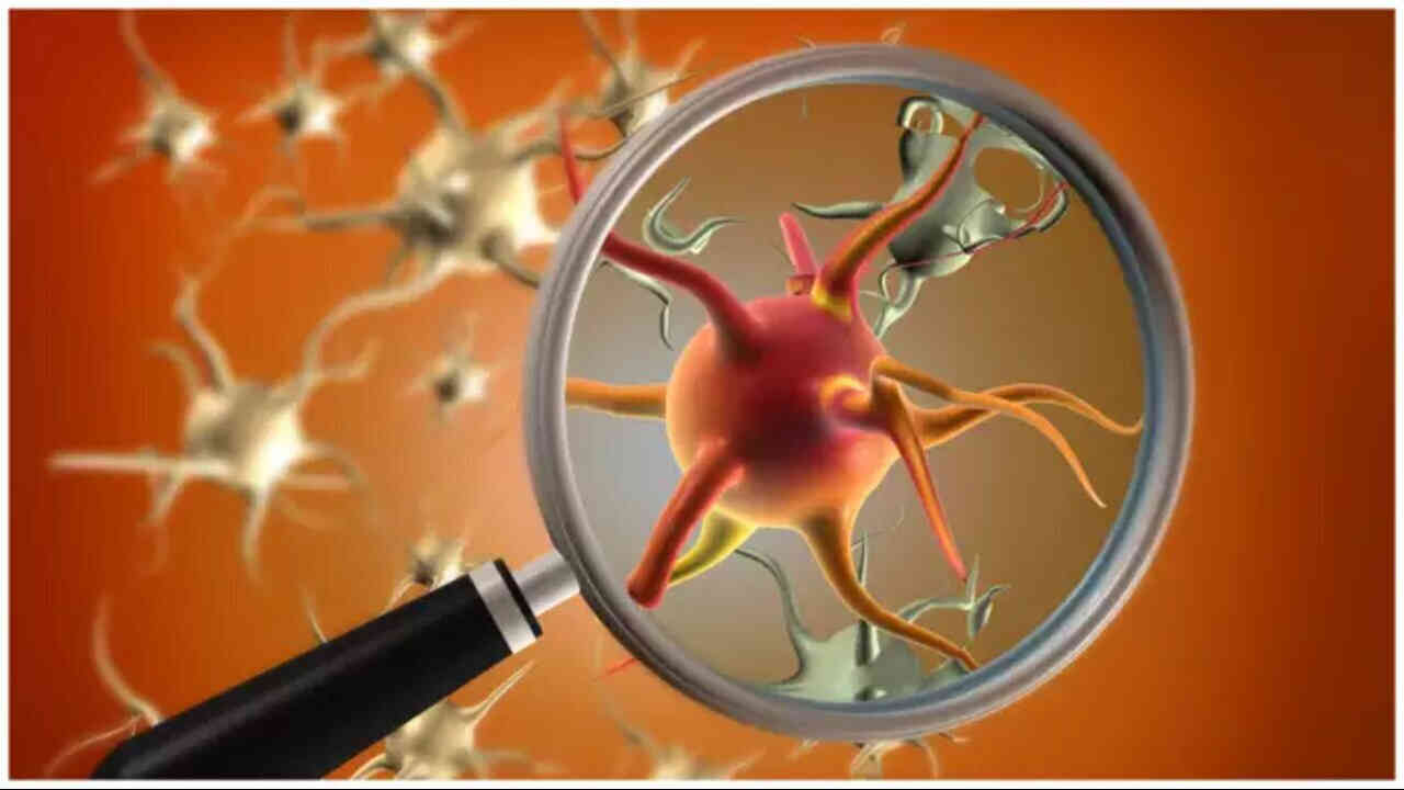 మనిషిని తినే బ్యాక్టీరియా..రెండు రోజుల్లో మరణం ఖాయమంటున్న నిపుణులు.!