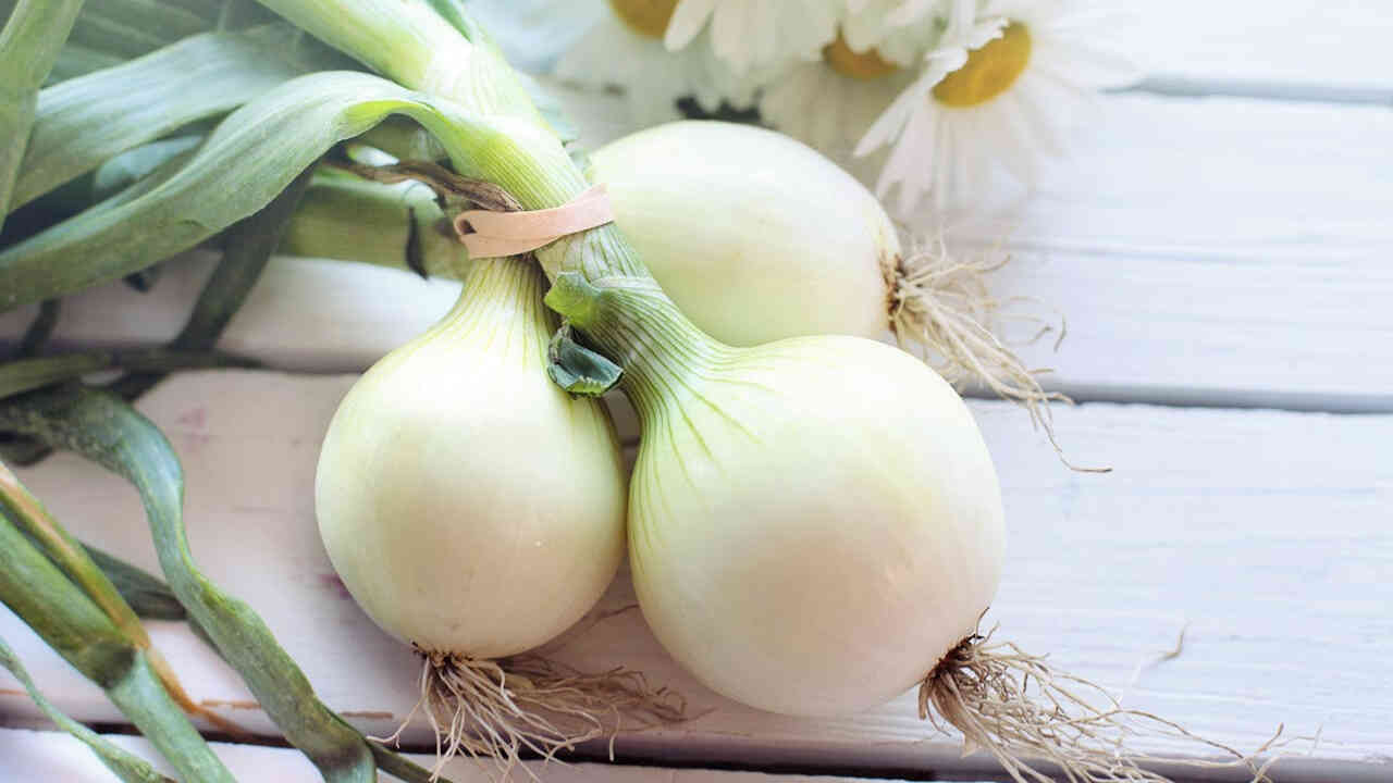 పచ్చి ఉల్లిపాయ తింటే పురుషులకు బోలేడు ప్రయోజనాలు..99శాతం మందికి ఈ ముచ్చటే తెలియదట.!