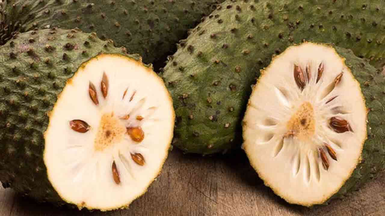 లక్ష్మణ ఫలంతో లాభాలు ఎన్నో.. క్యాన్సర్ నివారణలో ఎంతో కీలకం.!