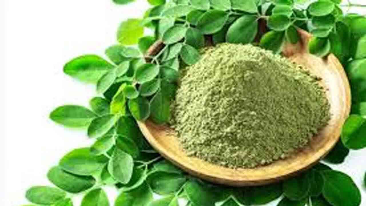 మునగాకు రసం తాగడం వల్ల కలిగే ప్రయోజనాలు..