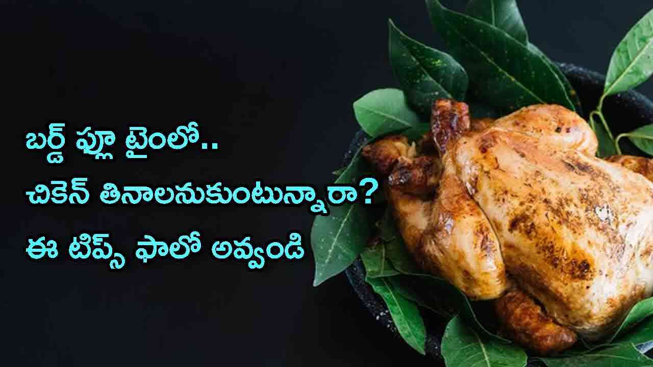 Bird Flu chicken | చికెన్ తినాలంటే ఈ పద్ధతి ఫాలో అవ్వాలంటున్న వైద్య నిపుణులు