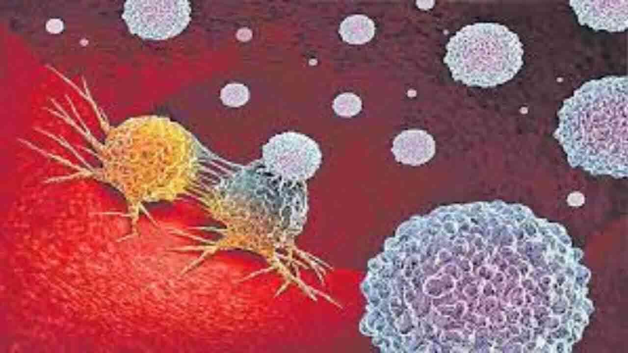 ఆ ఎంజైమ్ ను అడ్డుకుంటే క్యాన్సర్ కు చెక్.. గుర్తించిన దక్షిణ కొరియా శాస్త్రవేత్తలు 