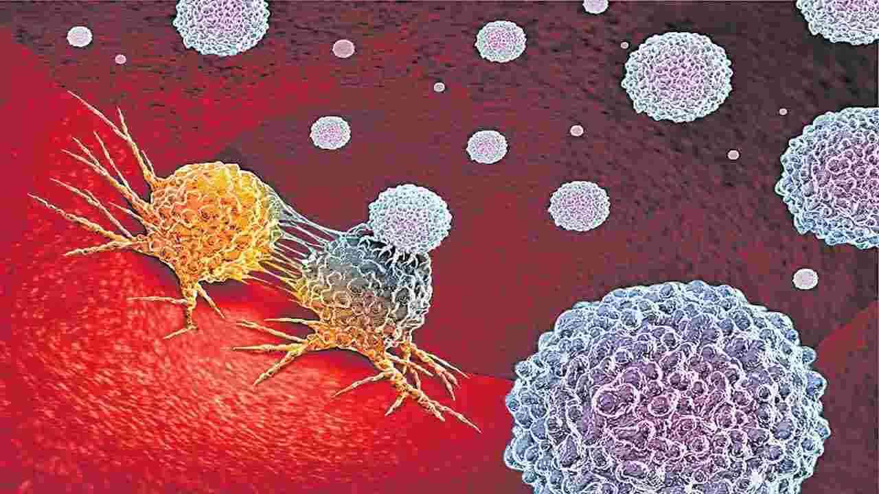 క్యాన్సర్ కోరల్లో చిక్కుకుంటున్న భారత్.. ఐదుగురు బాధితుల్లో ముగ్గురి మృతి 