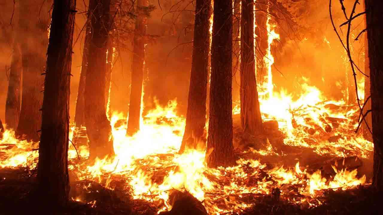 కాలిబూడిదైపోతున్న లాస్ ఏంజెలిస్.. 5 లక్షల కోట్ల ఆస్తి నష్టం