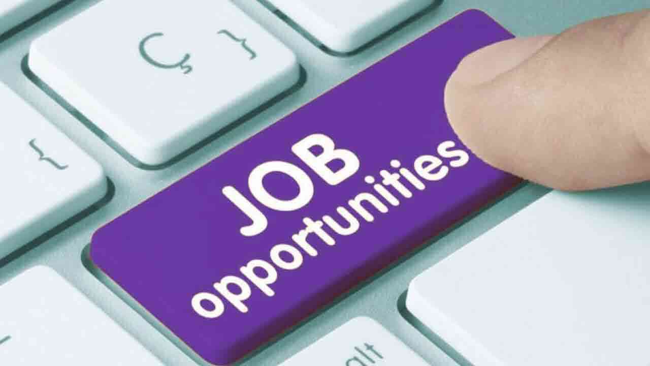 టూరిజం డెవలప్మెంట్ లో ఉద్యోగాలు.. అర్హులు ఎవరంటే.!