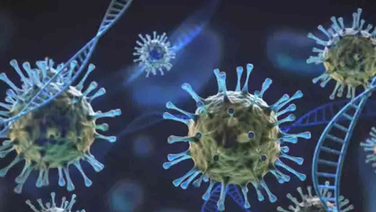 చైనాలో మరో కొత్త వైరస్.. కరోనా తరహాలో మనుషులకు వ్యాపించే గుణం.!