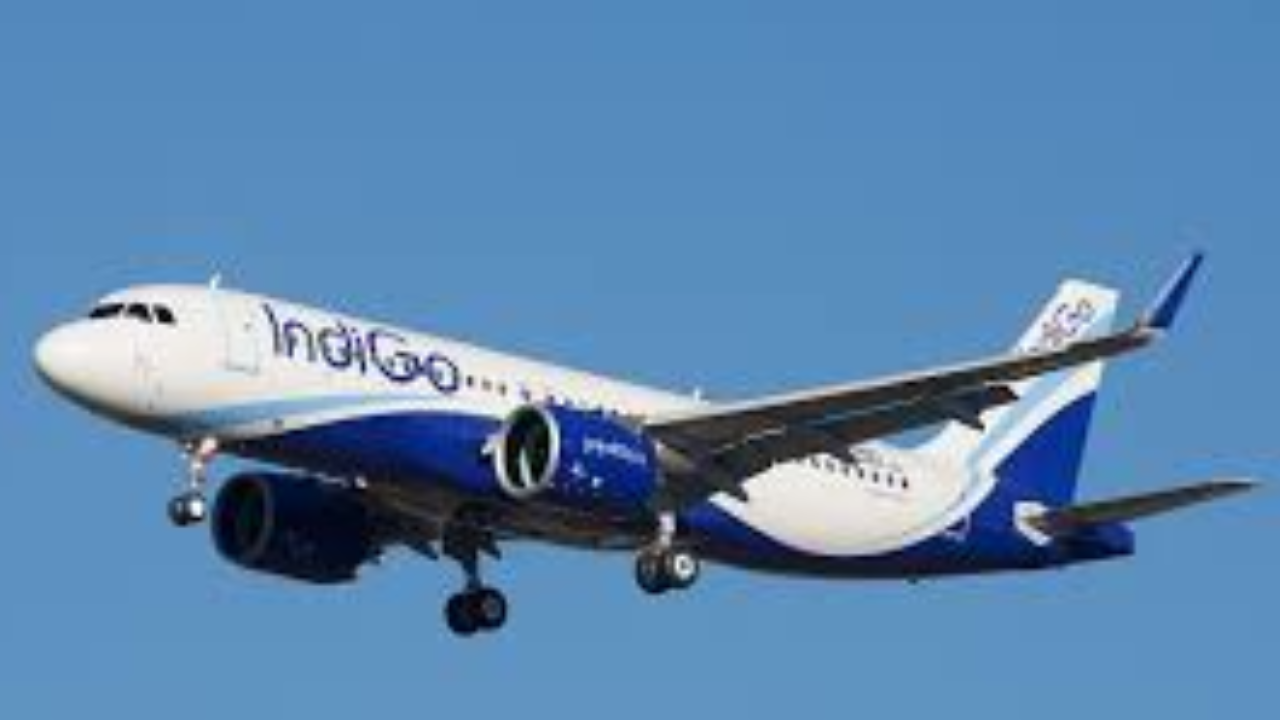 indigo 10 k travell vouchers 
