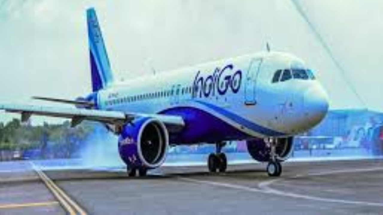 indigo board of directors 