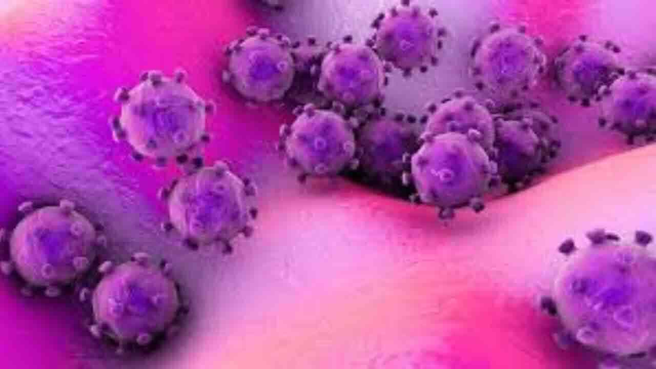 మరో కొత్త వైరస్ కలకలం.. కలకత్తాలో మహిళకు పాజిటివ్ లక్షణాలు.!