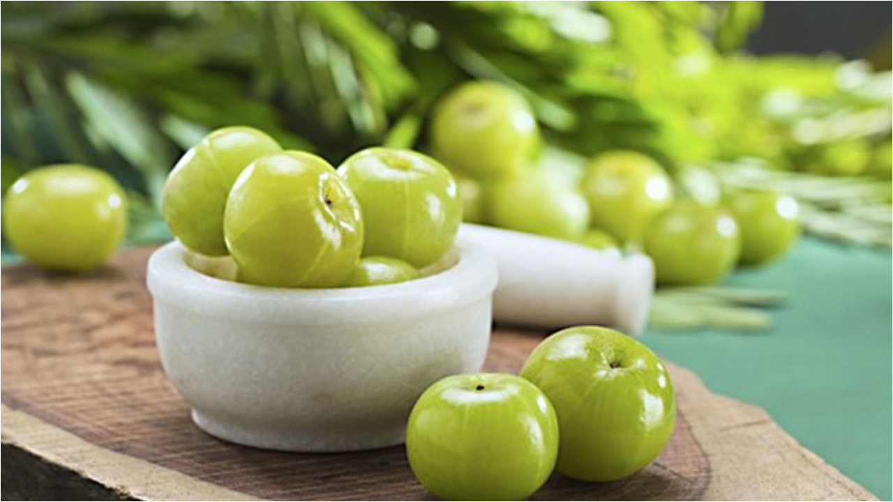 Amla Health Benefits: ఉదయం లేవగానే ఈ కాయ ఒకటి నమిలితే చాలు మీ బాడీలో 10 రకాల జబ్బులు మాయం 