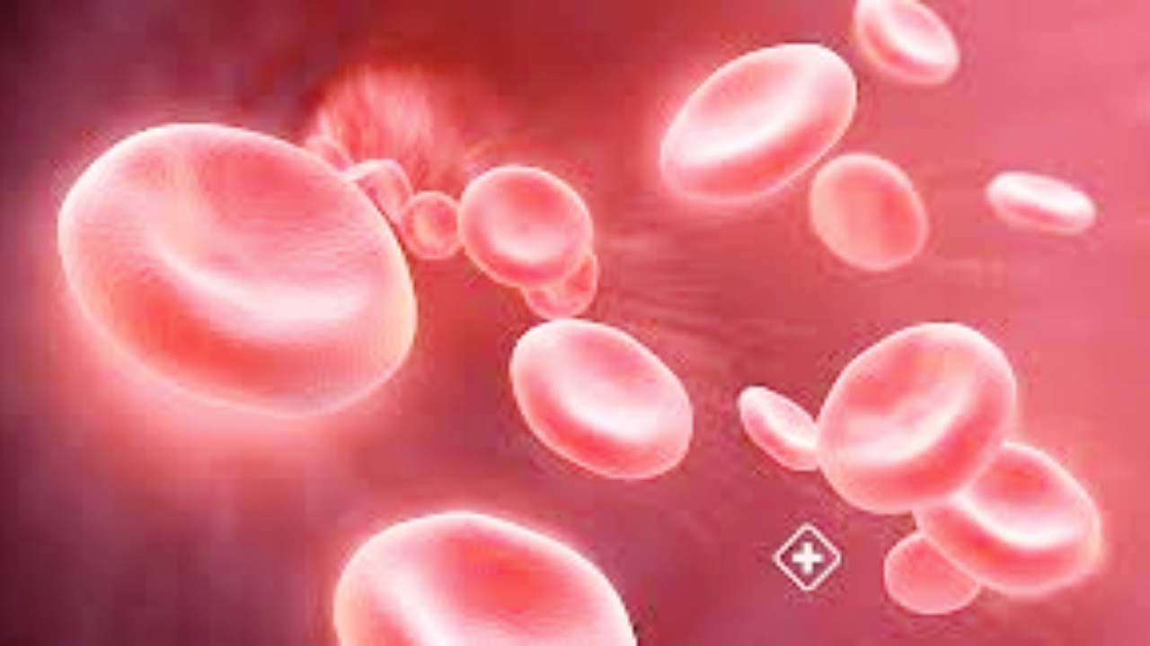 Anemia: రక్తహీనతతో బాధపడేవారికి ఈ కషాయం ఎంతో మేలు చేస్తుందట 