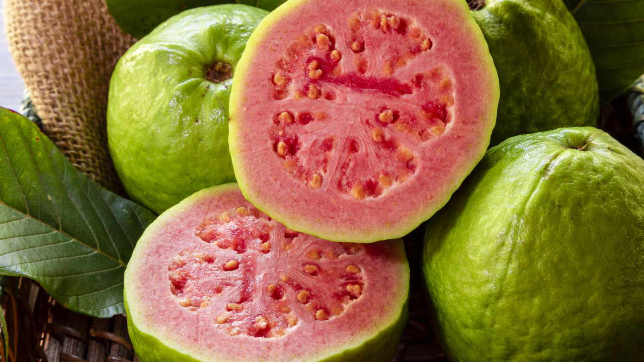 Guava Health Benefits: రోజూ ఒక జామపండు తినడం వల్ల మీ బాడీలో కలిగే మార్పులు ఇవే