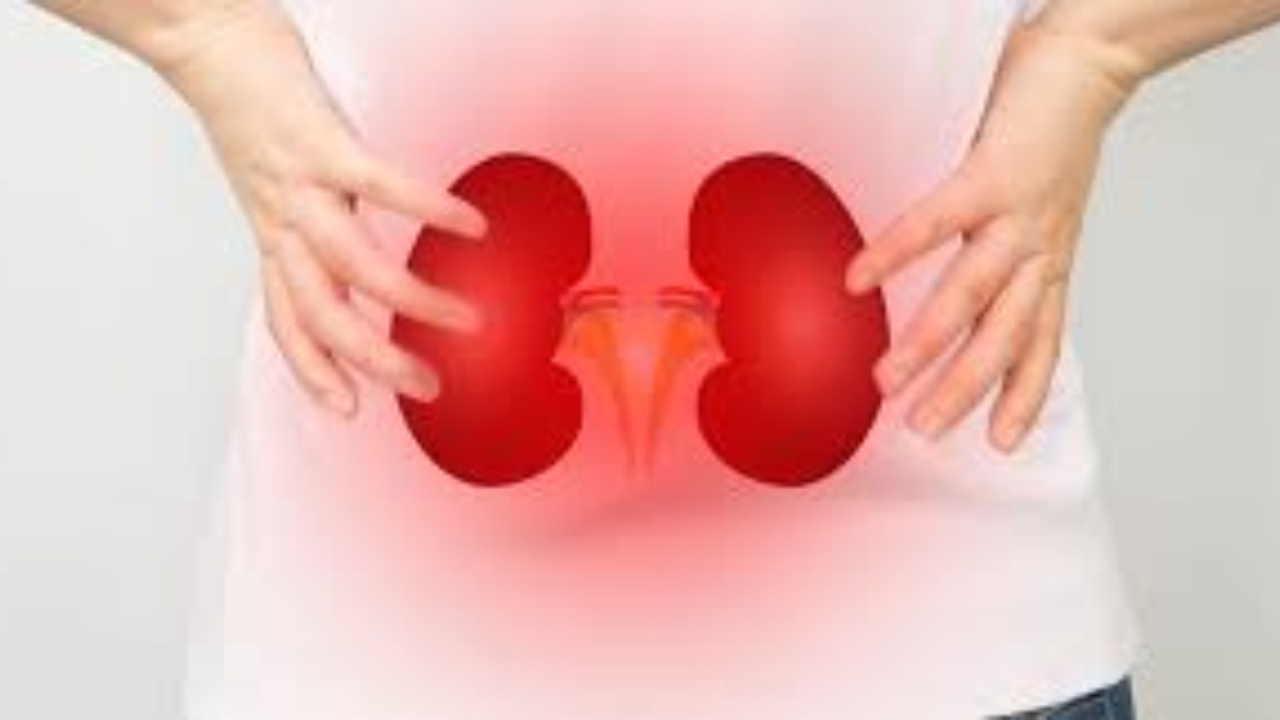 Kidney failure : మీ శరీరంలో ఈ 5 లక్షణాలు కనిపిస్తే మీ కిడ్నీ ఫెయిల్ అయ్యిందని అర్థం..వెంటనే చెక్ చేసుకోండి
