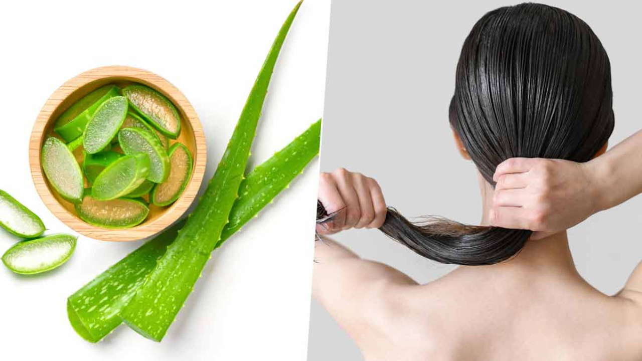Aloe Vera: కలబందను ఇలా వాడితే జుట్టు వేగంగా పెరుగుతుంది