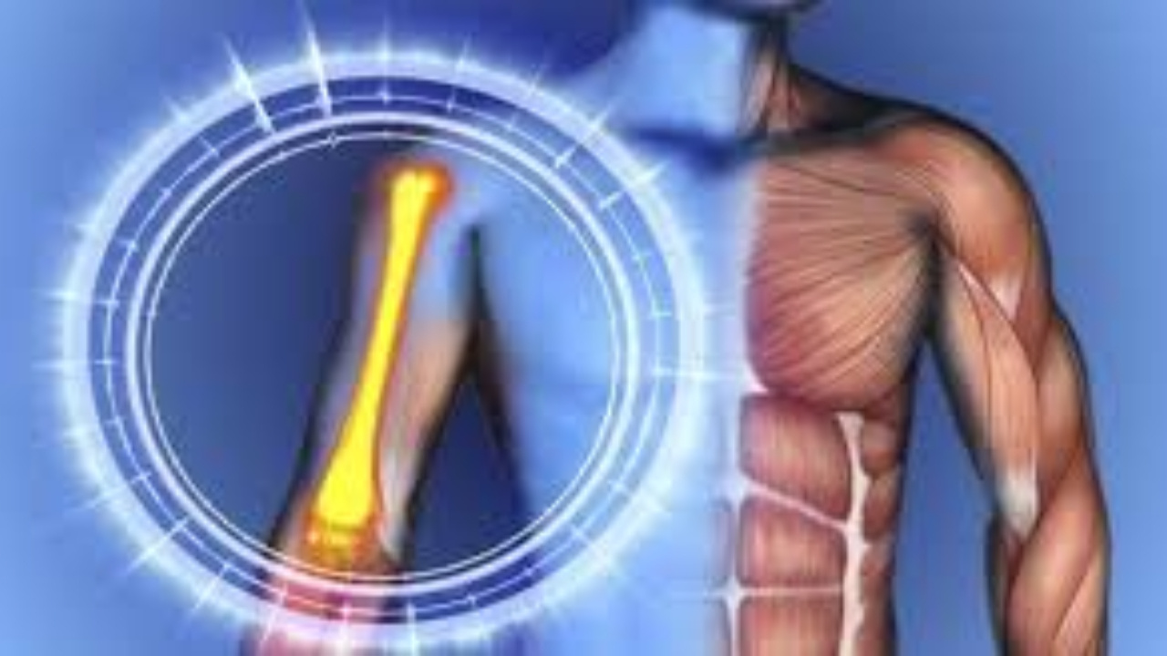 Bone Health :  మీ ఎముకలు దృఢంగా ఉండాలంటే ఈ ఫుడ్స్ తినండి 