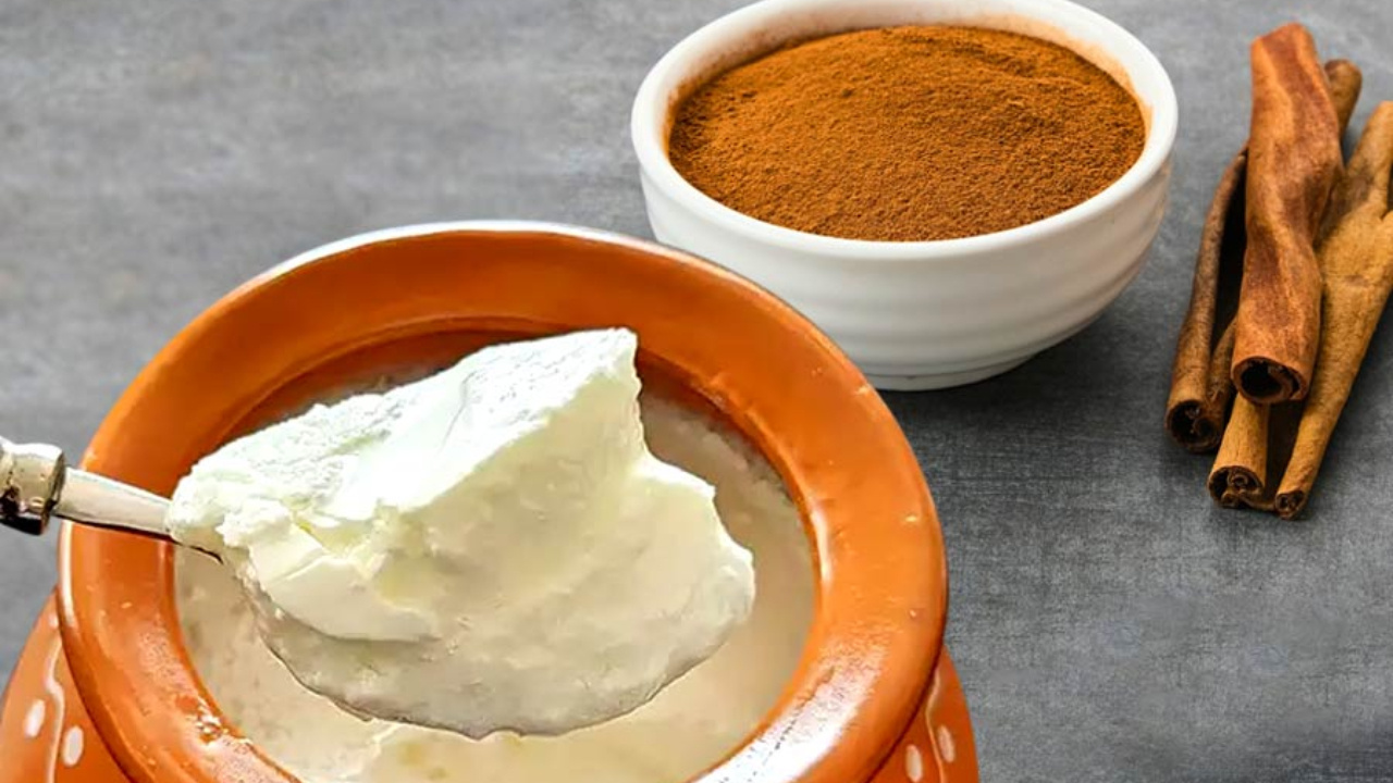 cinnamon-Curd:పెరుగులో దాల్చిన చెక్క పొడి కలుపుకుని తింటే ఎన్ని ప్రయోజనాలో 