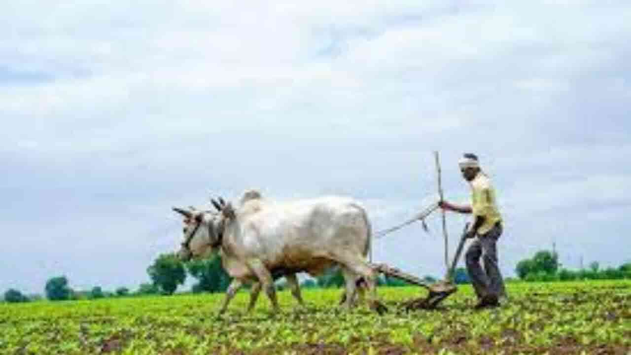 వ్యవసాయానికి ఊతం.. బడ్జెట్లో భారీగా పెరిగిన కేటాయింపులు 