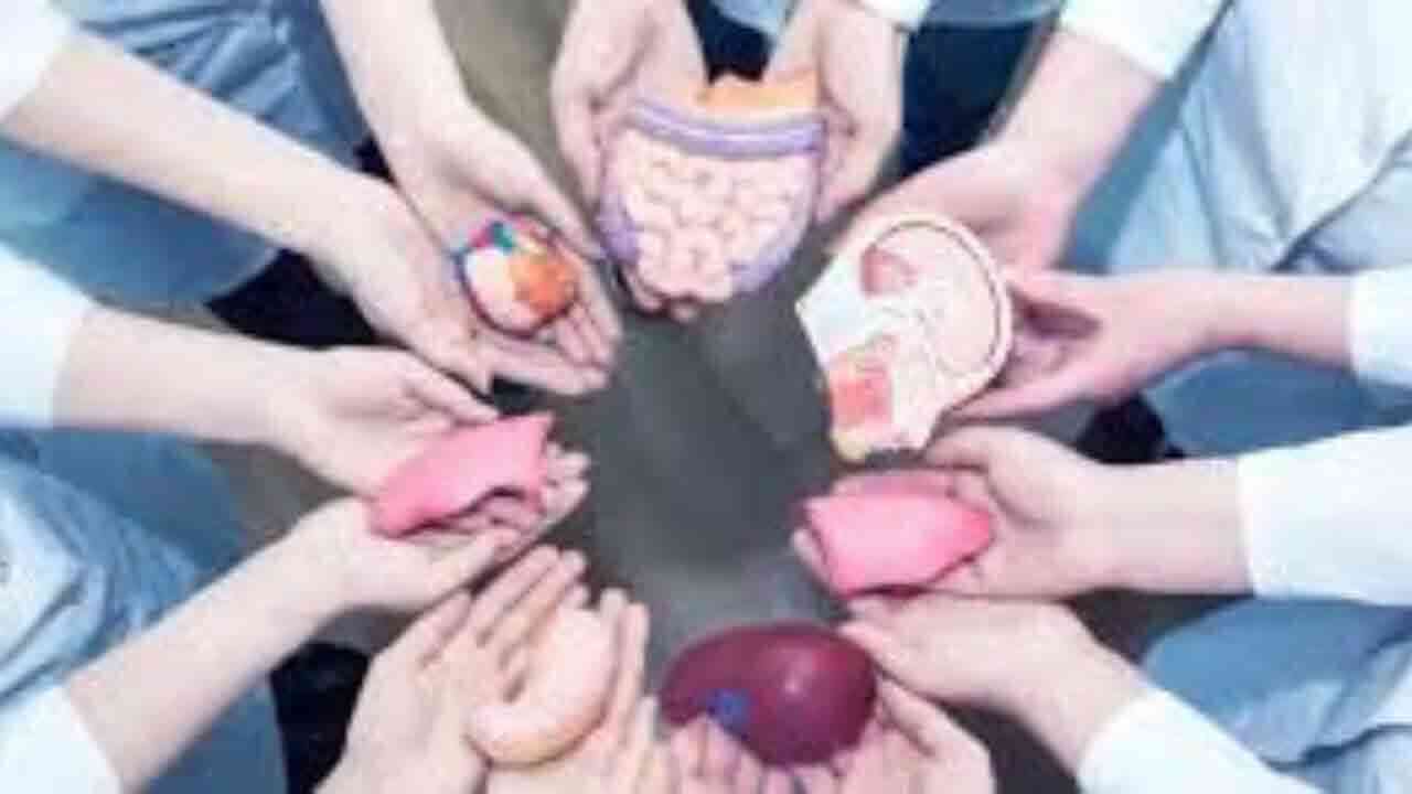 అవయవ దాతలకు ఏపీ ప్రభుత్వం సమచితస్థానం.. ప్రభుత్వ లాంఛనాలతో అంత్యక్రియలు నిర్వహణ 