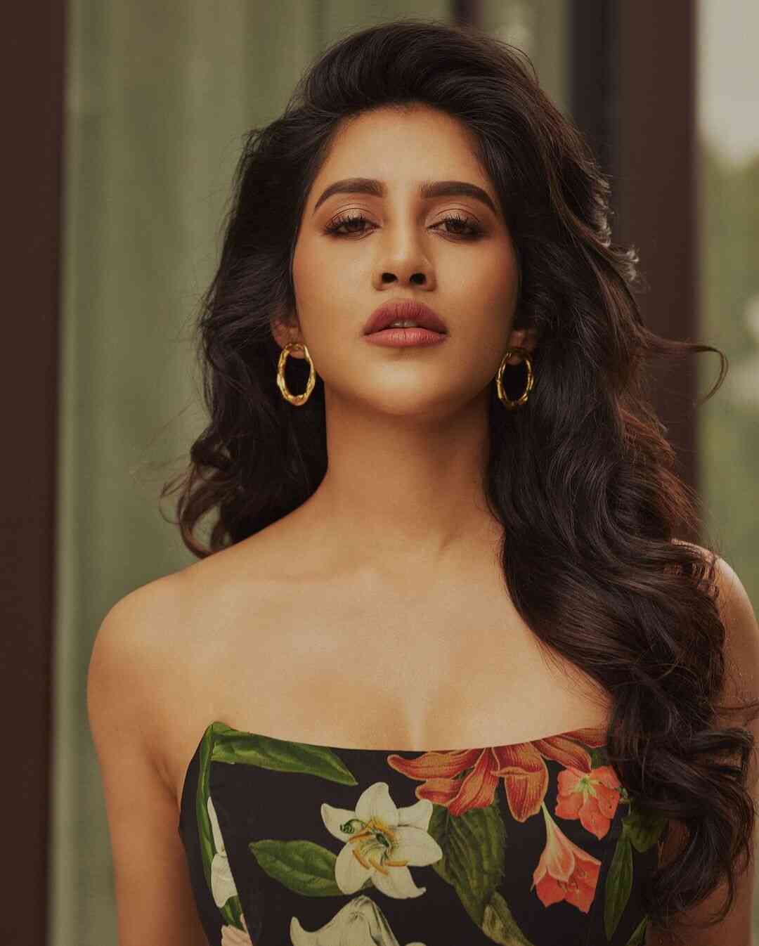  Nabha Natesh