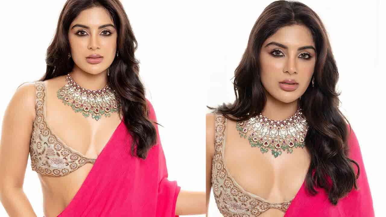 Samyuktha | పింక్ శారీలో.. హాట్ పోజుల్లో.. సంయుక్త మీనన్