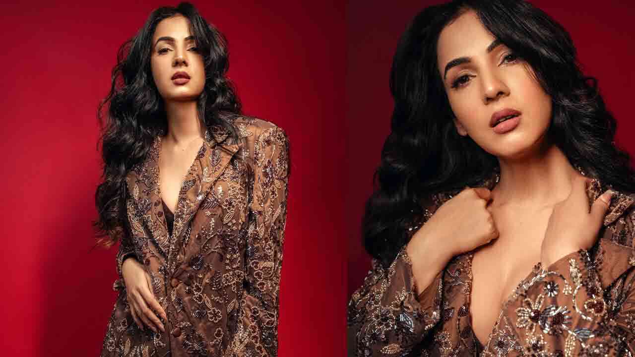 Sonal Chauhan : పొగుడు కాళ్ల సుందరి సోనాల్ చౌహాన్ అందాల విందు