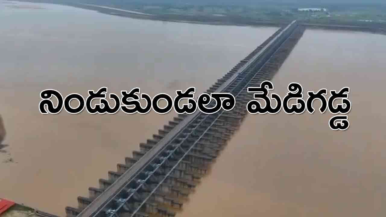 Kaleshwaram Project Pics : భారీ వర్షాలకు నిండు కుండలా మేడిగడ్డ బరాజ్ 