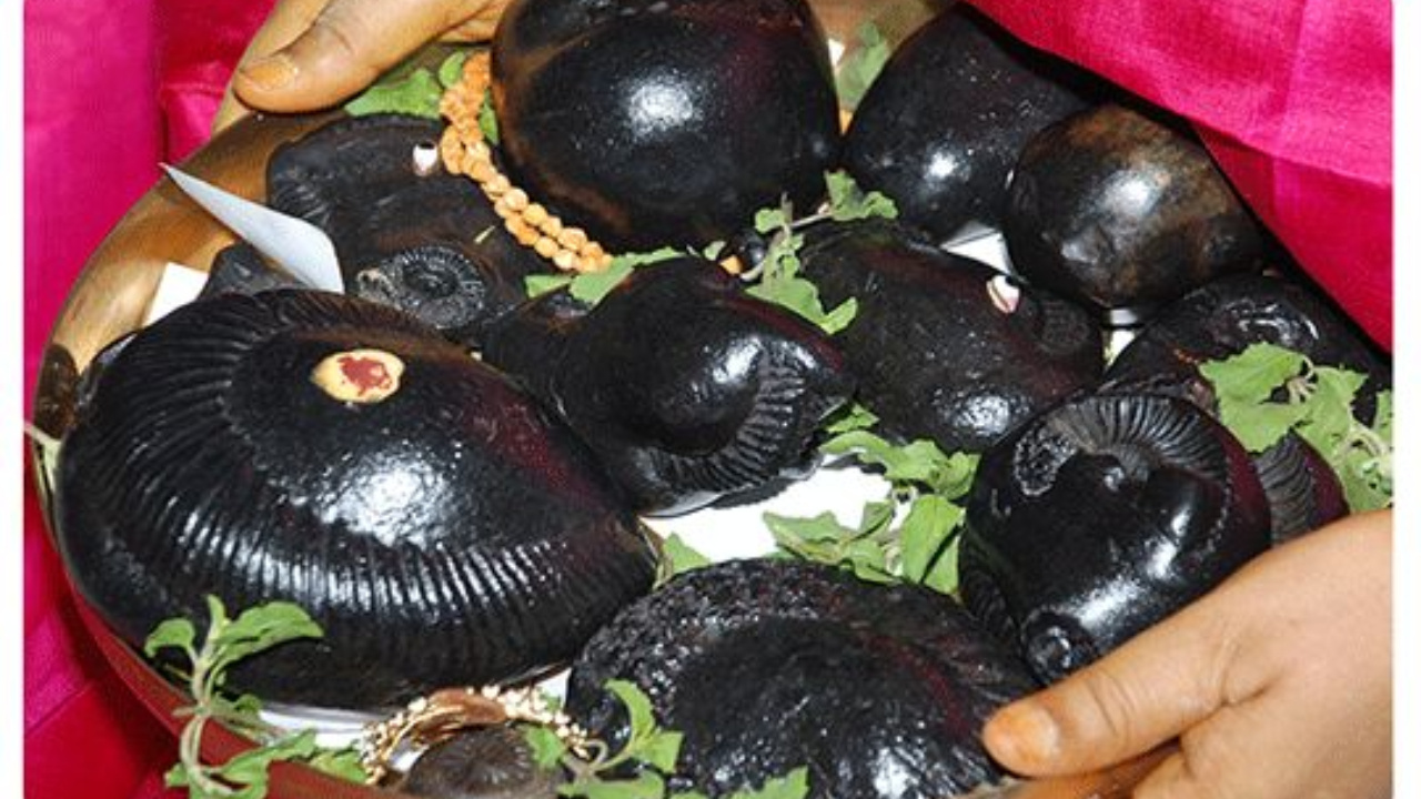  Saligrama Mantra: ఈ సాలిగ్రామ మంత్రాన్ని పఠిస్తే జీవితమే మారిపోతుంది