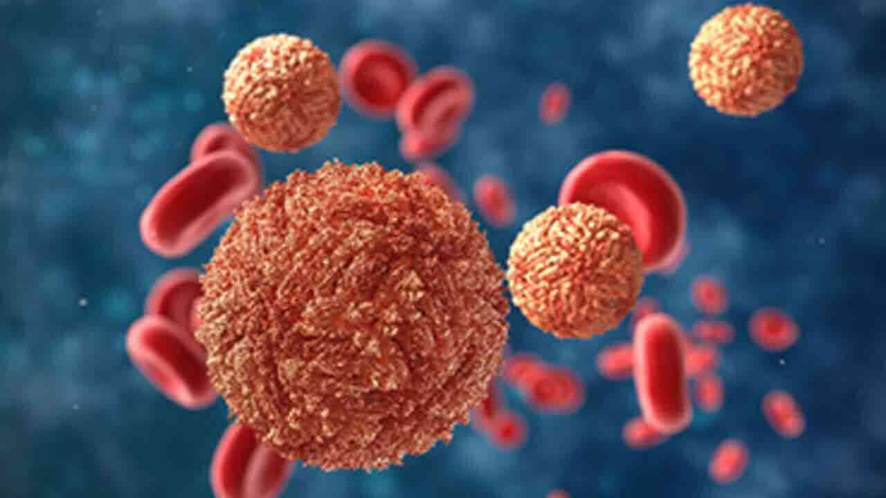 భయపెడుతున్న జికా వైరస్‌.. అప్రమత్తంగా ఉండాలంటున్న వైద్య నిపుణులు