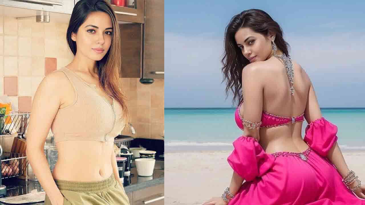 పవన్ కల్యాణ్ హీరోయిన్ మీరా చోప్రా హాట్ ఫొటోస్