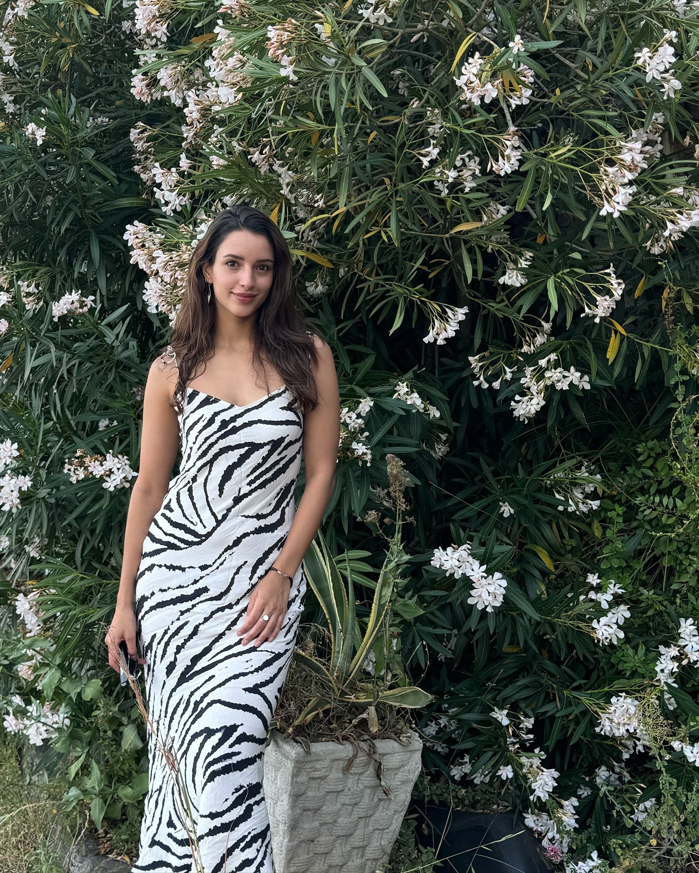 tripti dimri