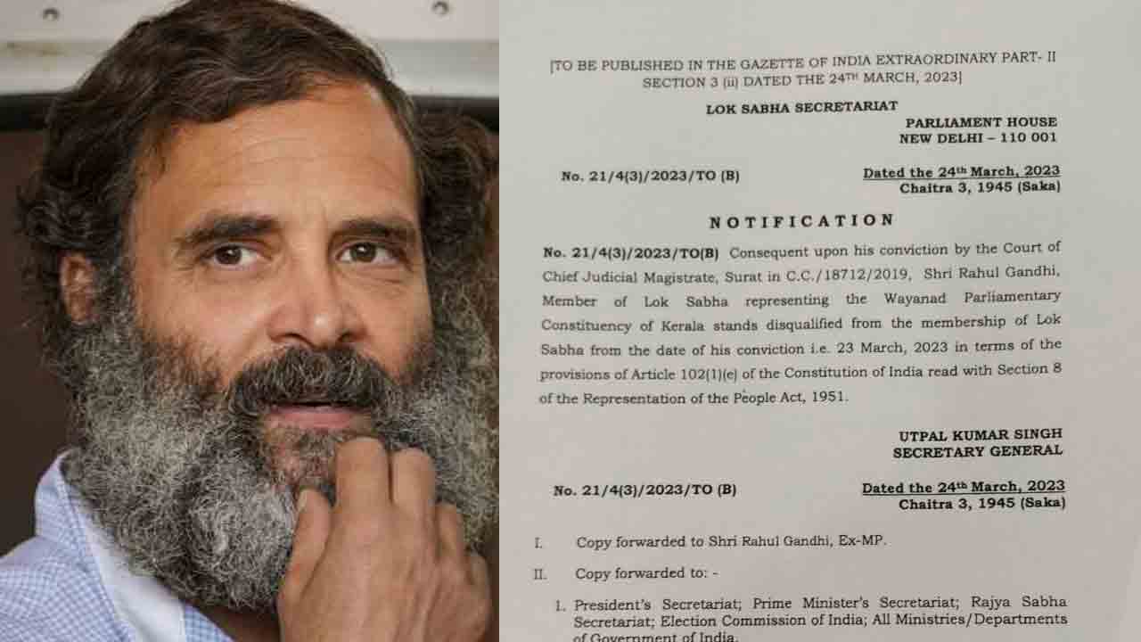Rahul gandhi | సంచలనం.. రాహుల్ గాంధీపై అనర్హత వేటు.. ఊడిన ఎంపీ పదవి
