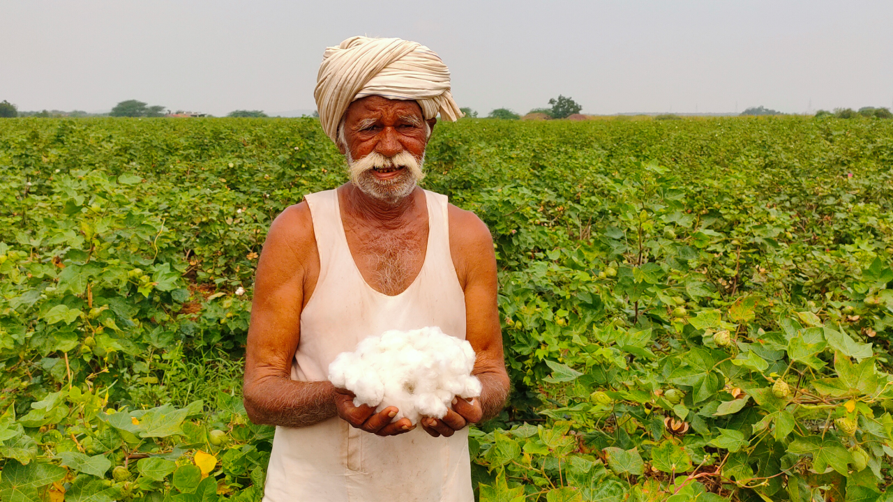 తీవ్ర సంక్షోభంలో పత్తి రైతులు
