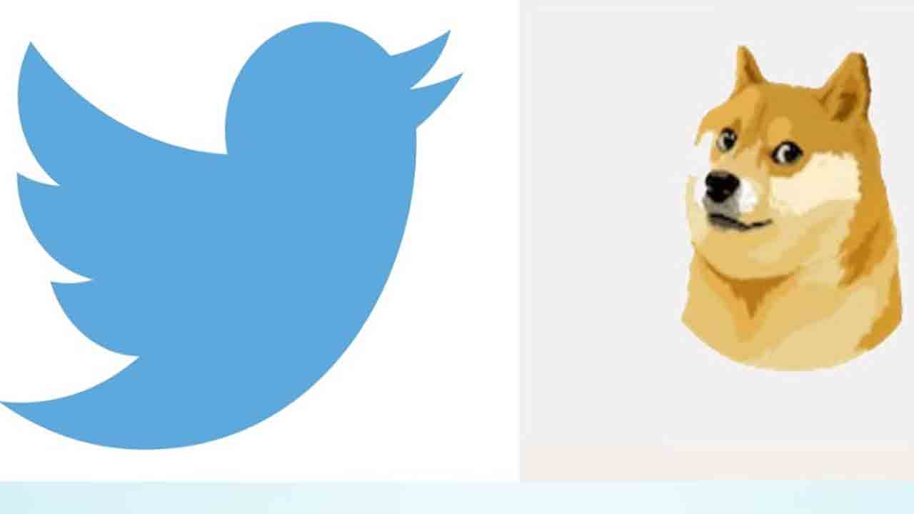 మారిన ట్విట్టర్ లోగో.. పిట్ట ప్లేస్‌లో కుక్క బొమ్మ.. మస్క్‌ మెంటల్ తారాస్థాయికి